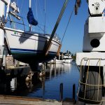 HaulingToucanCropped