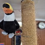 Toucan mascot 20260305_125938